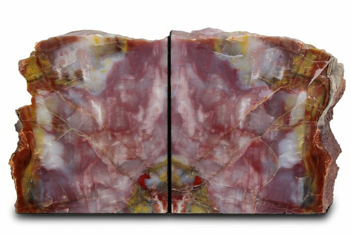Tall Colorful Petrified Wood Bookends - Washington #382144